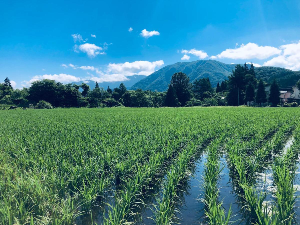 Summer Leaves Hakuba Exterior photo